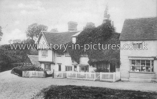 The Bell Inn and Stores, Little Baddow Road, Woodham Walter, Essex. c.1904